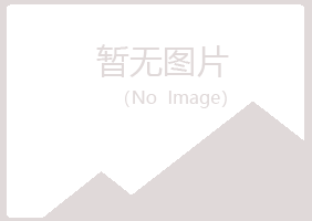 上海宝山匆匆能源有限公司